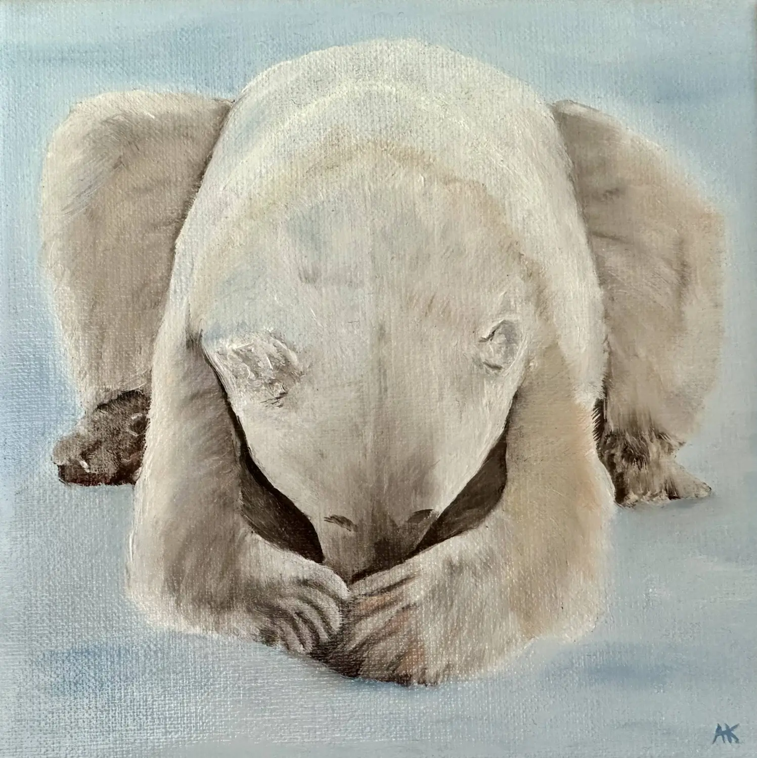 Tiermalerei von Anette Knipphals