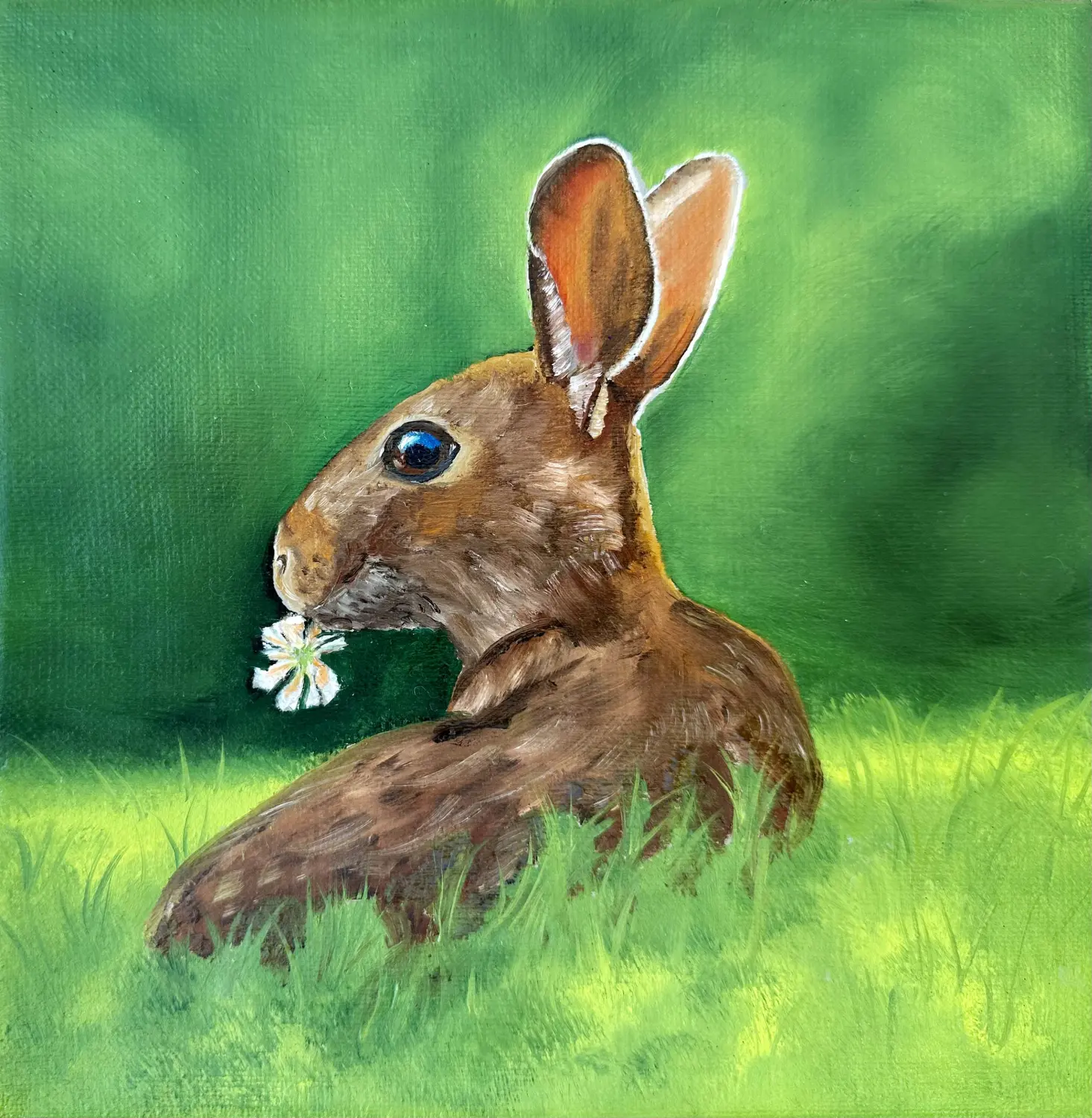 Tiermalerei von Anette Knipphals