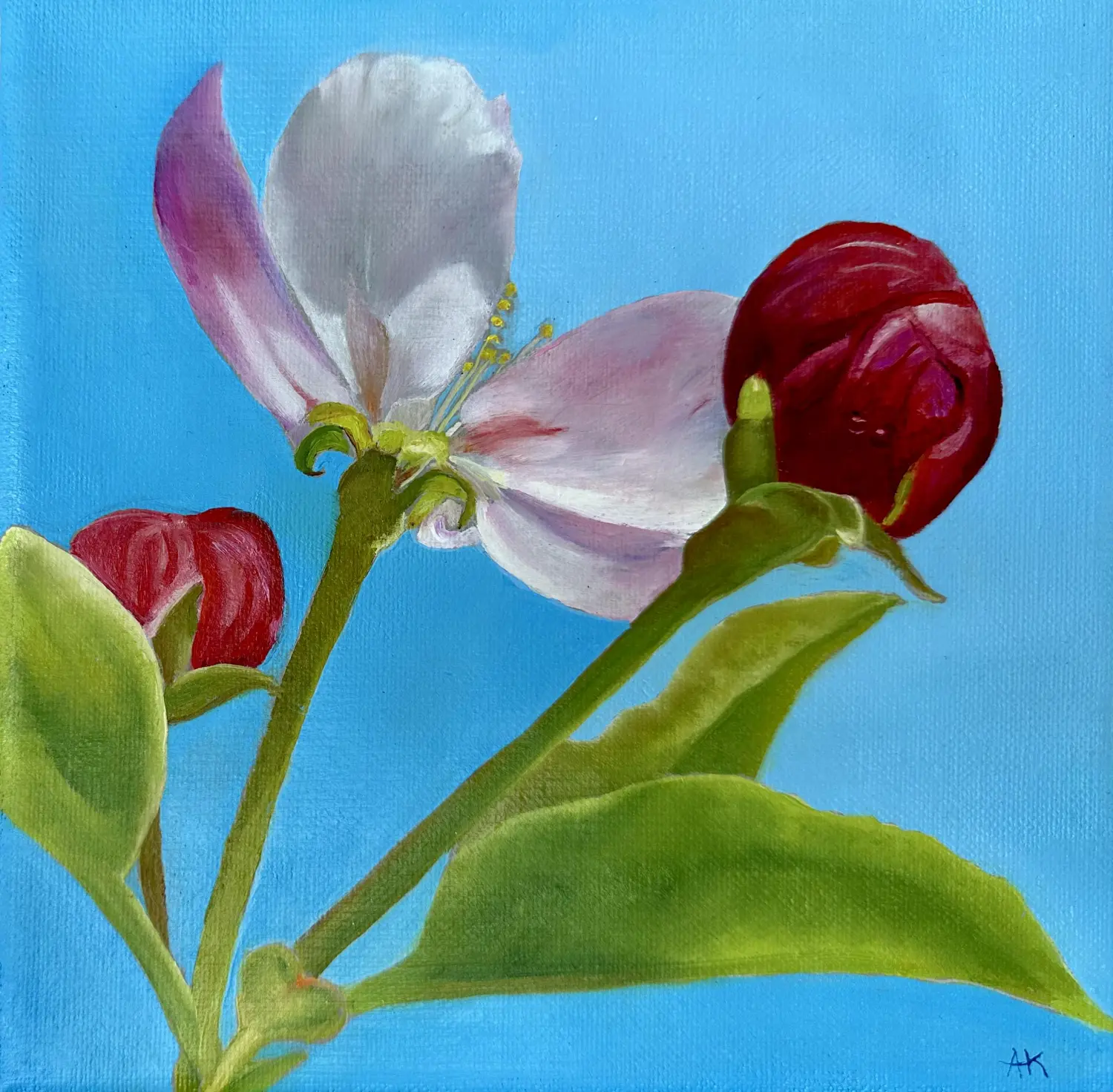 Blumengemälde von Anette Knipphals 