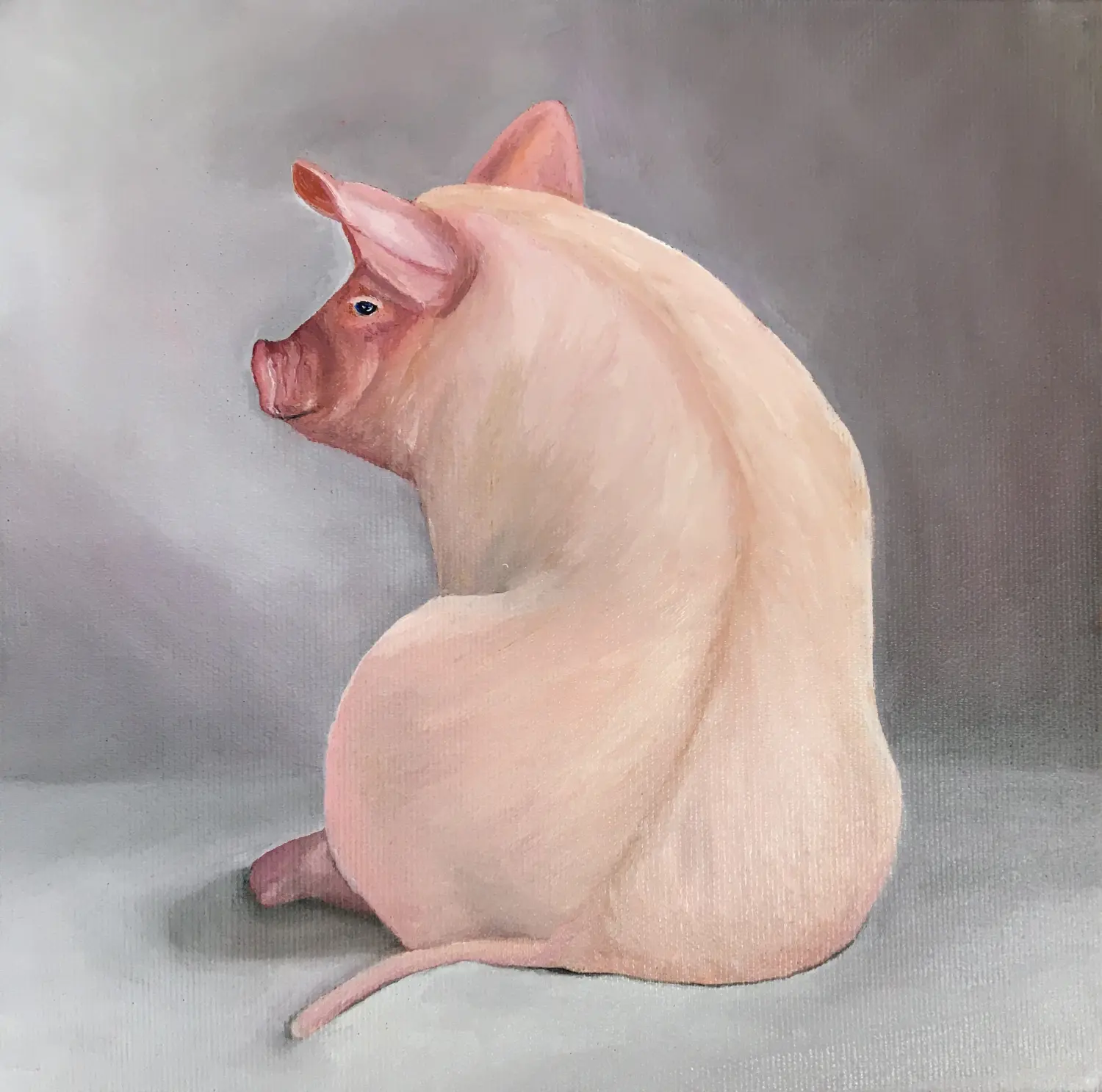 Schweinchen von Anette Knipphals