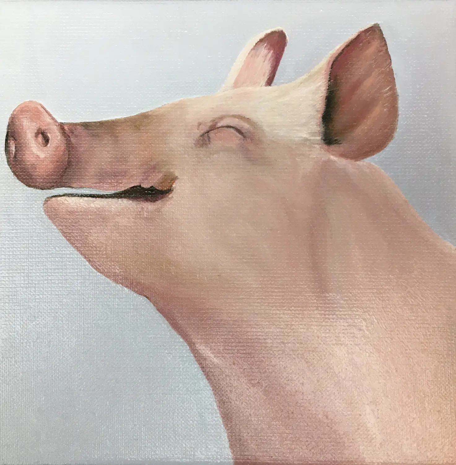 Schweinchen von Anette Knipphals