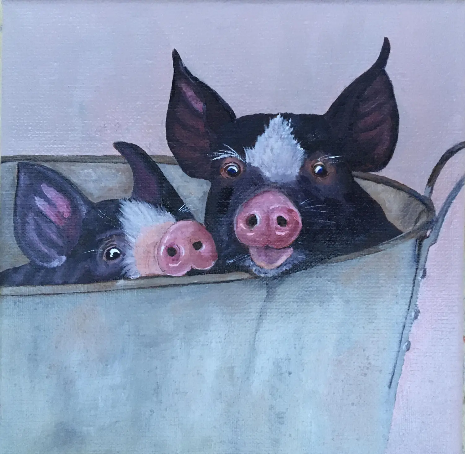 Schweinchen von Anette Knipphals