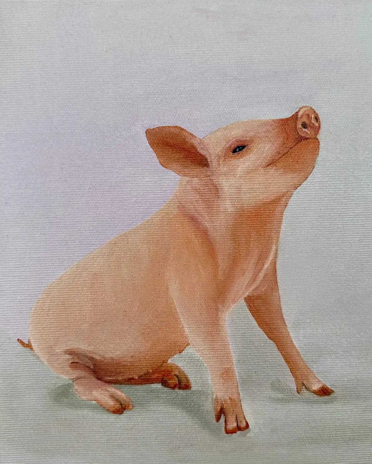 Schweinchen von Anette Knipphals