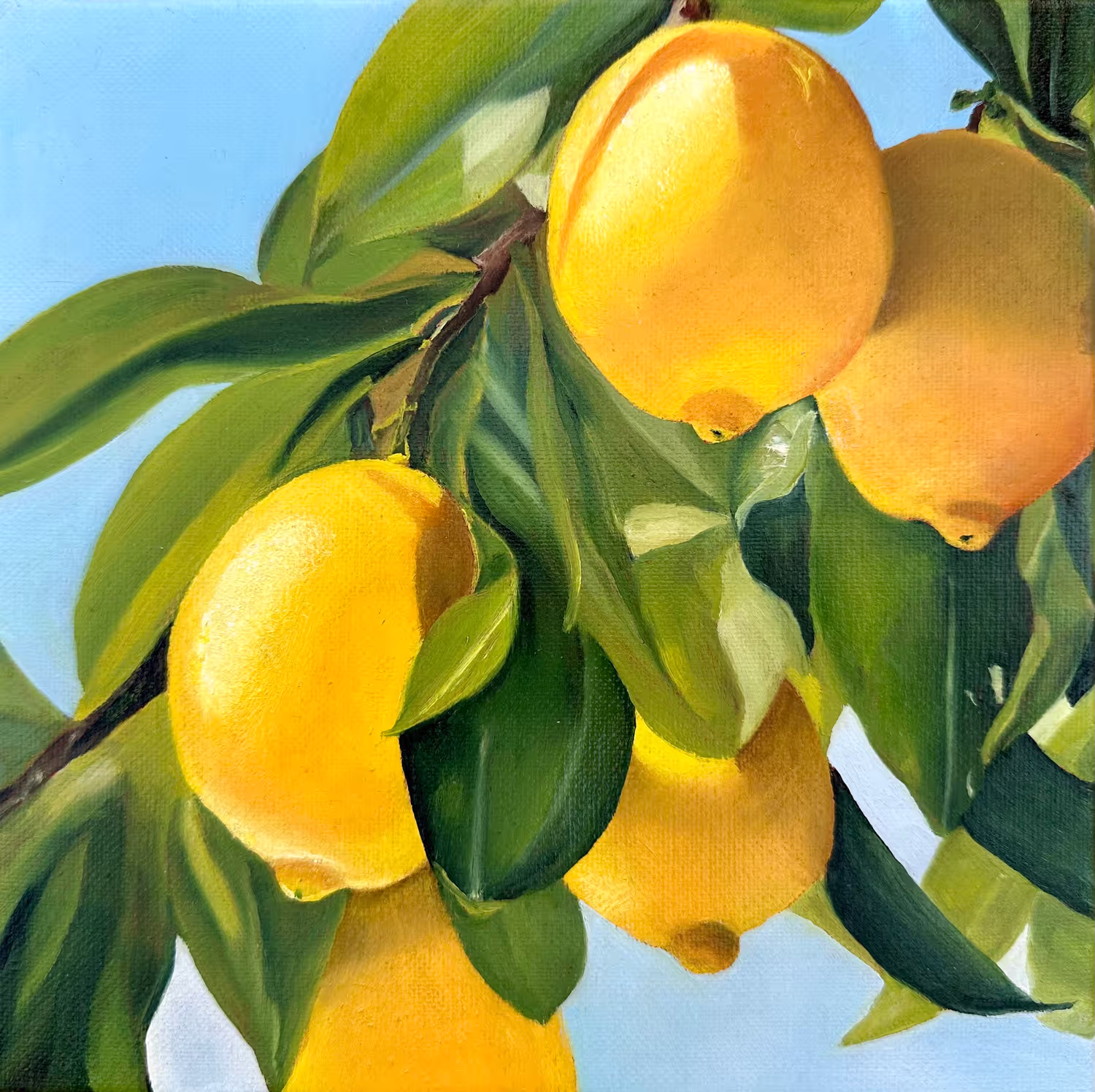 Kulinarisches von Anette Knipphals