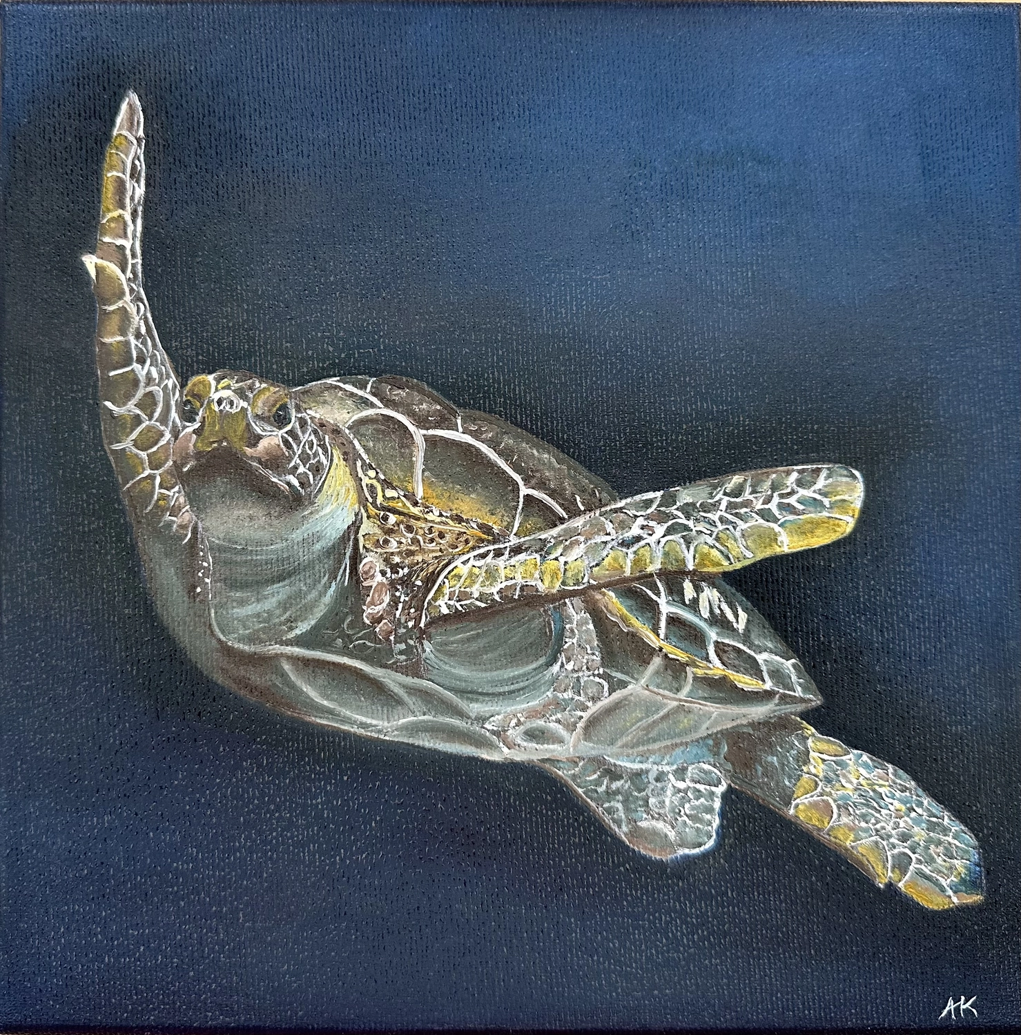 Tiermalerei von Anette Knipphals